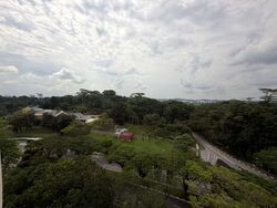 Allsworth Park (D10), Condominium #570269711